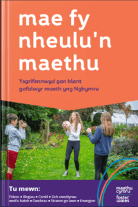 Children of foster carers book in welsh